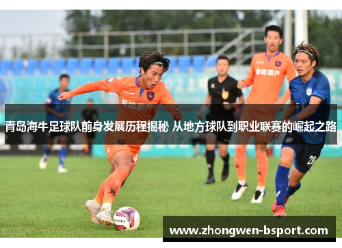 青岛海牛足球队前身发展历程揭秘 从地方球队到职业联赛的崛起之路