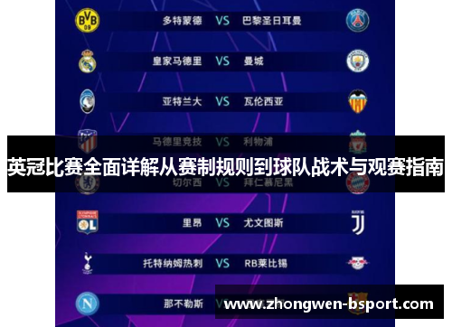 英冠比赛全面详解从赛制规则到球队战术与观赛指南