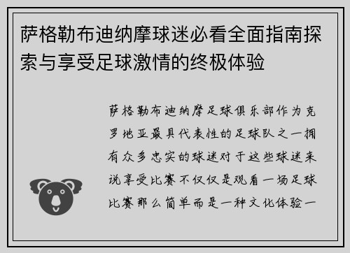 萨格勒布迪纳摩球迷必看全面指南探索与享受足球激情的终极体验